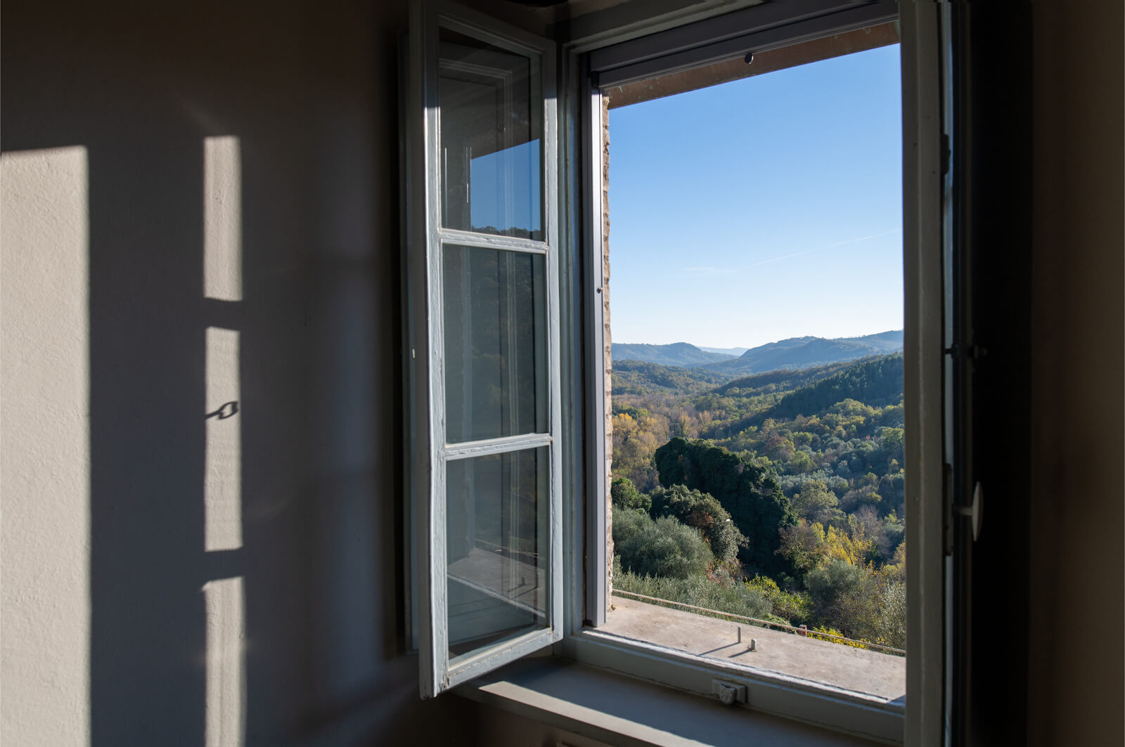 the-view